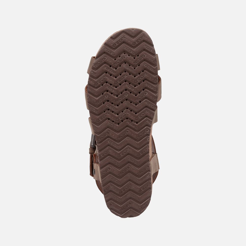 Geox Bayan Sandalet Koyu Kahverengi - Spensierata - GJE-270394